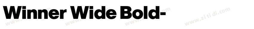 Winner Wide Bold字体转换